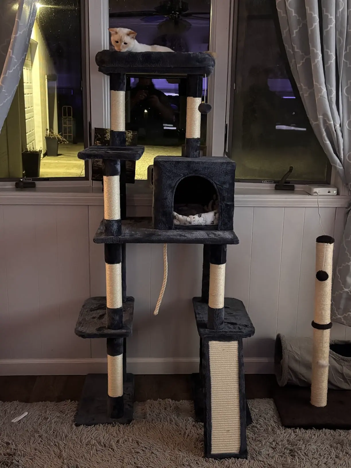 44-inch cat tree tower customer photo